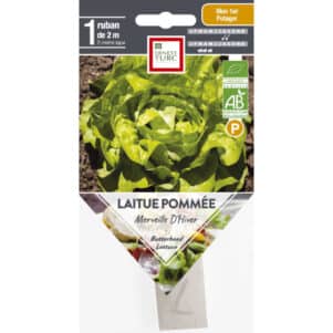 Graines de laitue pommée Merveille d'Hiver BIO - Graines et semences Ernest Turc