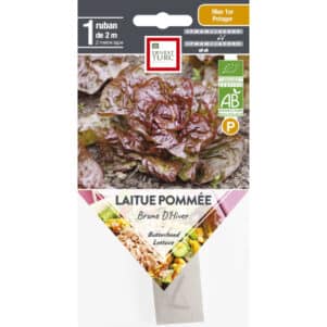Graines de laitue pommée Brune d'Hiver BIO - Graines et semences Ernest Turc