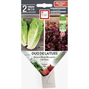 Graines de DUO de laitues BIO - Graines et semences Ernest Turc