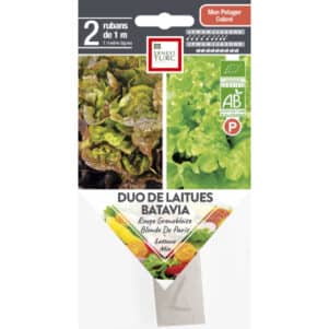 Graines de DUO de Battavia BIO - Graines et semences Ernest Turc