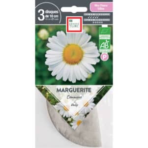 Graines de Marguerite Commune BIO - Graines et semences Ernest Turc