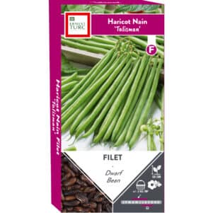 Graines de Haricot nain Talisman sans fil - Graines et semences Ernest Turc