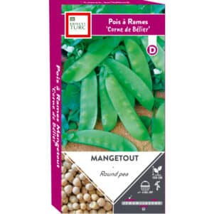 Graines de Pois Corne de Belier à rames mangetout - Graines et semences Ernest Turc