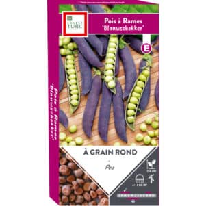 Graines de Pois à rames Blauwschokker - Graines et semences Ernest Turc