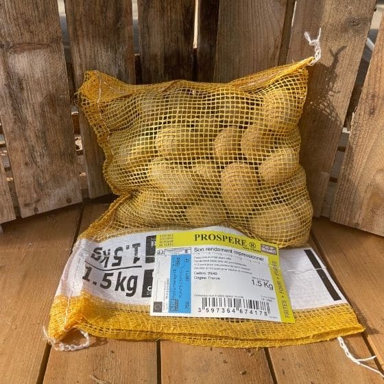 Pomme De Terre Prospère