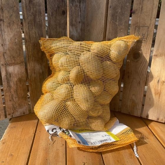 Pomme De Terre Prospère