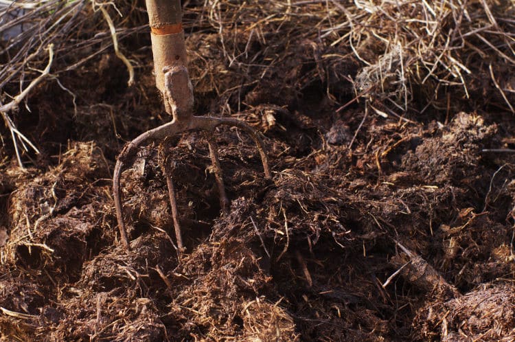 Préparer le sol en hiver - Apport de fumier - Conseils Ferriere Fleurs