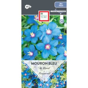 Graines de Mouron Bleu De Monel - Graines et semences Ernest Turc