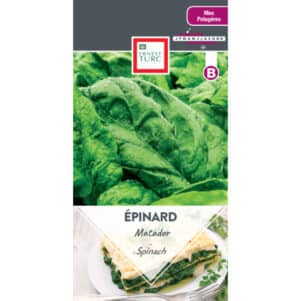 Graines d'Epinard Matador - Graines et semences Ernest Turc - Jardinerie Ferriere Fleurs