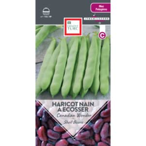 Graines d'Haricot Nain A Ecosser Canadian Wonder - Graines et semences Ernest Turc - Jardinerie Ferriere Fleurs