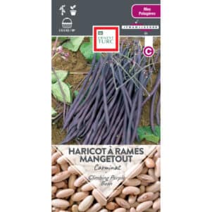 Graines d'Haricot à rames mangetout Carminat - Graines et semences Ernest Turc - Jardinerie Ferriere Fleurs