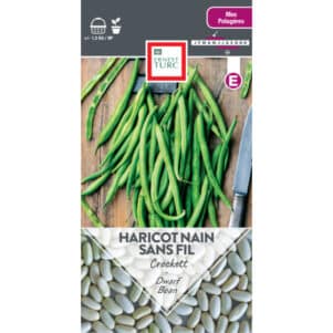 Graines d'Haricot nain mangetout Crockett - Graines et semences Ernest Turc - Jardinerie Ferriere FLeurs