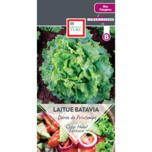 Graines de Batavia Dorée de Printemps - Graines et semences Ernest Turc - Jardinerie Ferriere Fleurs