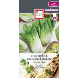 Graines de Chicorée Pain de Sucre à larges feuilles - Graines et semences Ernest Turc - Jardinerie Ferriere Fleurs
