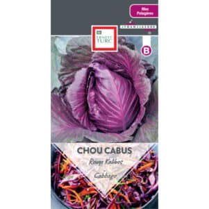 Graines de Chou Cabus Rouge Kalibos - Graines et semences Ernest Turc - Jardinerie Ferriere Fleurs