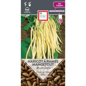 Graines de Haricot à rames mangetout beurre Monte Gusto - Graines et semences Ernest Turc - Jardinerie Ferriere Fleurs