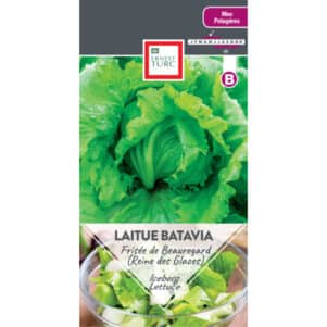 Graines de Laitue Batavia frisée de Beauregard (Reine des Glaces) - Graines et semences Ernest Turc - Jardinerie Ferriere Fleurs