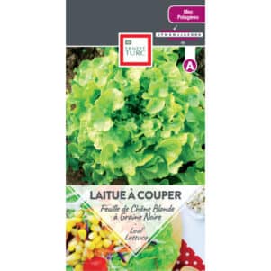 Graines de Laitue à couper Feuille De Chêne blonde à graine noire - Graines et semences Ernest Turc - Jardinerie Ferriere Fleurs