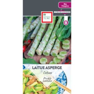 Graines de Laitue asperge Celtuce - Graines et semences Ernest Turc - Jardinerie Ferriere Fleurs
