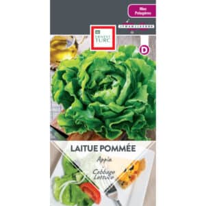 Graines de Laitue pommée Appia - Graines et semences Ernest Turc - Jardinerie Ferriere Fleurs