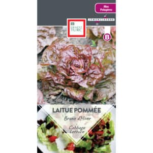 Graines de Laitue pommée Brune d'Hiver - Graines et semences Ernest Turc - Jardinerie Ferriere Fleurs