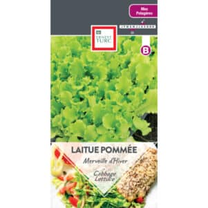 Graines de Laitue pommée Merveille d'Hiver - Graines et semences Ernest Turc - Jardinerie Ferriere Fleurs