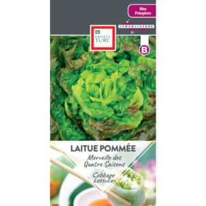 Graines de Laitue pommée Merveille des 4 Saisons - Graines et semences Ernest Turc - Jardinerie Ferriere Fleurs