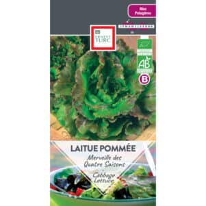 Graines de Laitue pommée Merveille des Quatre Saisons BIO - Graines et semences Ernest Turc - Jardinerie Ferriere Fleurs