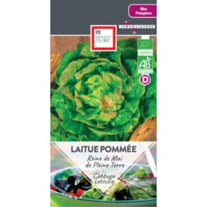 Graines de Laitue pommée Reine De Mai de pleine terre BIO - Graines et semences Ernest Turc - Jardinerie Ferriere Fleurs