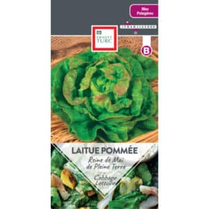 Graines de Laitue pommée Reine de Mai Pleine Terre - Graines et semences Ernest Turc - Jardinerie Ferriere Fleurs