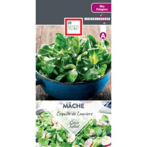 Graines de Mâche Coquille de Louviers - Graines et semences Ernest Turc - Jardinerie Ferriere Fleurs