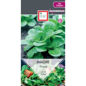 Graines de Mâche Trophy - Graines et semences Ernest Turc - Jardinerie Ferriere Fleurs