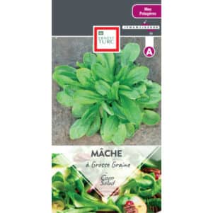 Graines de Mâche à grosse graine - Graines et semences Ernest Turc - Jardinerie Ferriere Fleurs