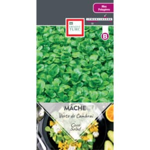 Graines de Mache de Cambrai - Graines et semences Ernest Turc - Jardinerie Ferriere Fleurs