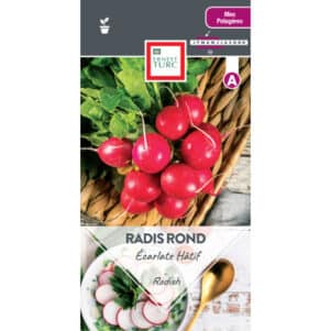 Graines de Radis Écarlate rond à Forcer - Graines et semences Ernest Turc - Jardinerie Ferriere Fleurs