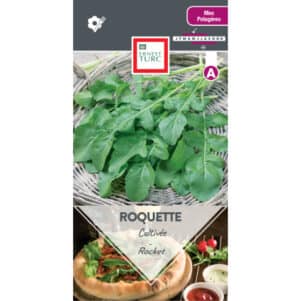 Graines de Roquette cultivée - Graines et semences Ernest Turc - Jardinerie Ferriere Fleurs