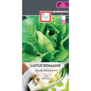 Graines de Salade romaine blonde maraîchère type laitue - Graines et semences Ernest Turc - Jardinerie Ferriere Fleurs