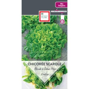 Graines de Scarole blonde à cœur plein - Graines et semences Ernest Turc - Jardinerie Ferriere Fleurs