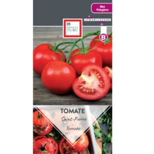 Graines de Tomate Saint Pierre rouge - Graines et semences Ernest Turc - Jardinerie Ferriere Fleurs
