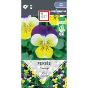 Graines de Viola Tricoloree BIO Pensée sauvage - Graines et semences Ernest Turc - Jardinerie Ferriere Fleurs