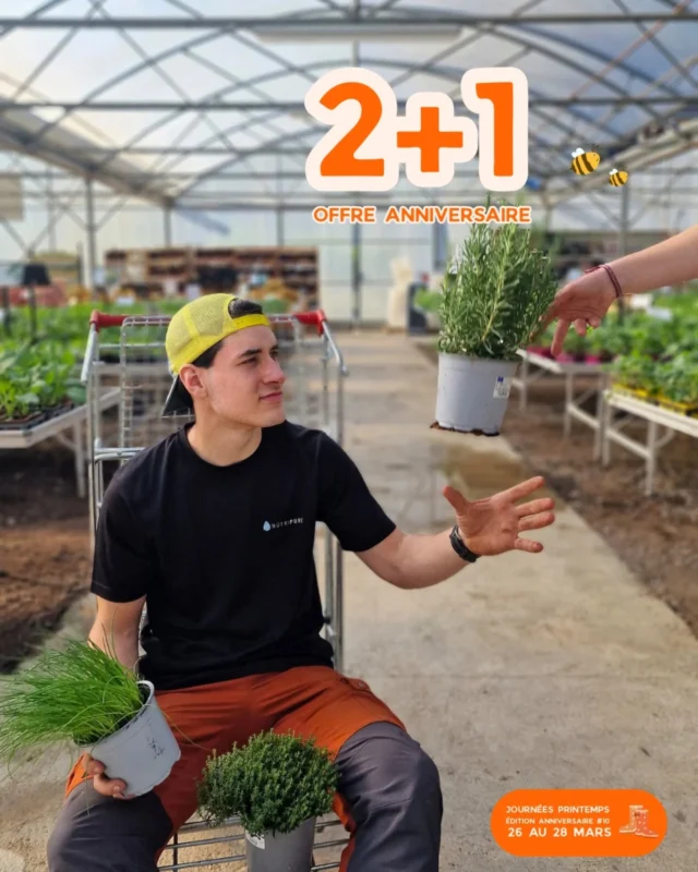 Les Journées Printemps fêtent leurs 10 ans cette année 🥳

Pour l'occasion, notre offre 2 + 1 s'élargit... 👀

🌿 2 + 1 GRATUIT sur nos plantes aromatiques
👉 Panachage possible entre les variétés 

Pot de 14cm - 3.50€ 
👉 soit 2.33€ l'un, et 7.00€ les 3 (au lieu de 10.50€)

Parfait pour parfumer vos salades, tisanes... et même vos mojito cet été 🌼

📅 Offre valable pendant les Journées Printemps 
26 - 27 - 28 Mars 

📍 Végétalerie Ferriere Fleurs - L'Arbresle

#ferrierefleurs #promotion #aromatique #mojito #printemps