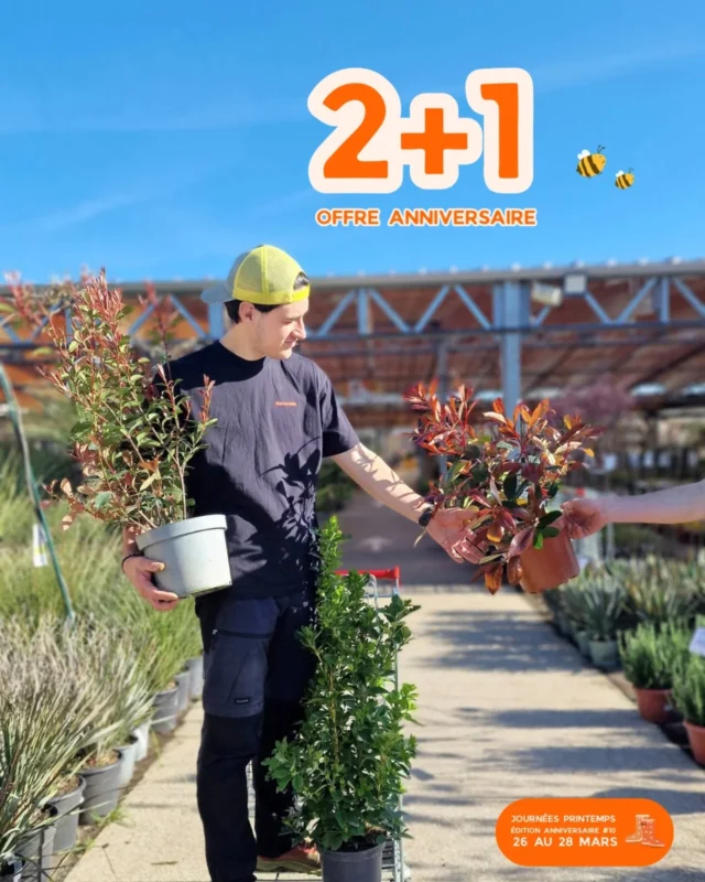 Les Journées Printemps fêtent leurs 10 ans cette année 🥳

Pour l'occasion notre offre 2 + 1 s'élargit encore... 👀

🌿 2 + 1 GRATUIT sur les arbustes de haie issus de notre production 
👉 panachage des variétés possible évidement

Pot de 4L - 12.90€ 
👉 soit 8.60€ l'un, et 25.80€ les 3 (au lieu de 38.70€)

 Parfait pour aménager une haie naturelle et apporter de la verdure toute l'année 🌳

📅 Offre valable pendant les Journées Printemps 
26 - 27 - 28 Mars 

📍 Végétalerie Ferriere Fleurs - L'Arbresle

#vegetalerie #arbuste #haie #printemps #ferrierefleurs