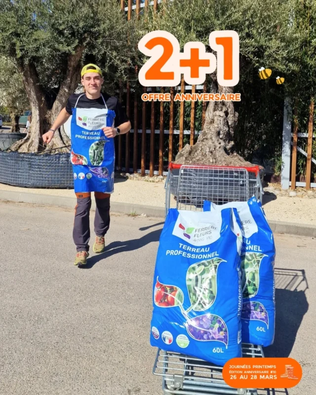 Les Journées Printemps fêtent leurs 10 ans cette année 🥳

Bien sûr... l'offre que tout le monde attend est de retour 👀

🌱 2 + 1 GRATUIT sur notre terreau professionnel 

Sac de 60L- 13.90€
👉 soit 9.26€ l'un, et 27.80€ les 3 sacs (au lieu de 41.70€)

Un terreau de qualité, idéal pour toutes vos plantations au jardin comme en pot.

📅 Offre valable pendant les Journées Printemps 
26 - 27 - 28 Mars

📍 Ferriere Fleurs - L'Arbresle 

#ferrierefleurs #vegetalerie #offre #promotion #printemps