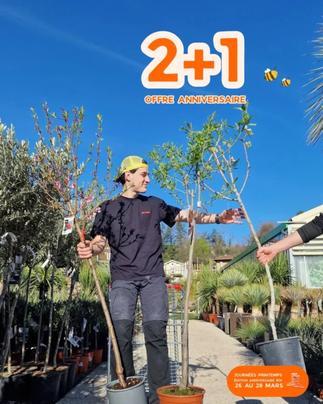 Les Journées Printemps fêtent leurs 10 ans cette année 🥳

Et pour l'occasion notre offre 2 + 1 s'élargit 👀

🍎 2 + 1 GRATUIT sur nos arbres fruitiers (et vous pouvez mélanger les variétés)

Pot de 10L - 39.90€ 
👉 soit 26.60€ l'un, et 79.80€ les 3 (au lieu de 119.70€)

Le moment idéal pour planter, compléter ou agrandir votre verger 🍒🍐

📅 Offre valable pendant les Journées Printemps 
26 - 27 - 28 Mars 

📍 Végétalerie Ferriere Fleurs - L'Arbresle 

#ferrierefleurs #printemps #fruit #arbre #promotion