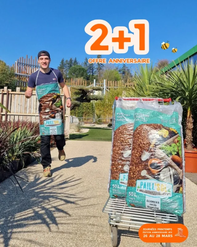 Les Journées Printemps fêtent leurs 10 ans cette année 🥳

L'offre 2+1 sur le paillage est de retour 👀

🌿 2 + 1 GRATUIT sur les sacs d'écorces de pin
👉 soit 7.93€ l'un, et 23.80€ les 3 (au lieu de 35.70€)

 Parfait pour aménager une haie naturelle et apporter de la verdure toute l'année 🌳

📅 Offre valable pendant les Journées Printemps 
26 - 27 - 28 Mars 

📍 Végétalerie Ferriere Fleurs - L'Arbresle

#vegetalerie #arbuste #haie #printemps #ferrierefleurs