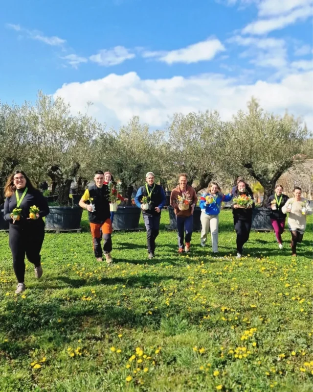 Un week-end de Pâques sous le soleil, la chasse au œufs va être fondante ☀️ 

Alors on s'est dit pourquoi ne pas troquer les œufs avec une jolie chasse aux fleurs ?
Du jaune, des nids et des œufs fleuris, des plantes avec leur cache pot et encore du jaune pour fêter Pâques autrement 💛

On vous attend tout le week-end :
 🐣  Samedi - 9h à 19h non stop
 🐣  Dimanche - 9h30 à 12h30
 🐣  Lundi de Pâques - 9h à 12h30 et 14h à 18h

À très vite 🌿

#ferrierefleurs #jardinerie #pâques #chasse #oeufdepaques