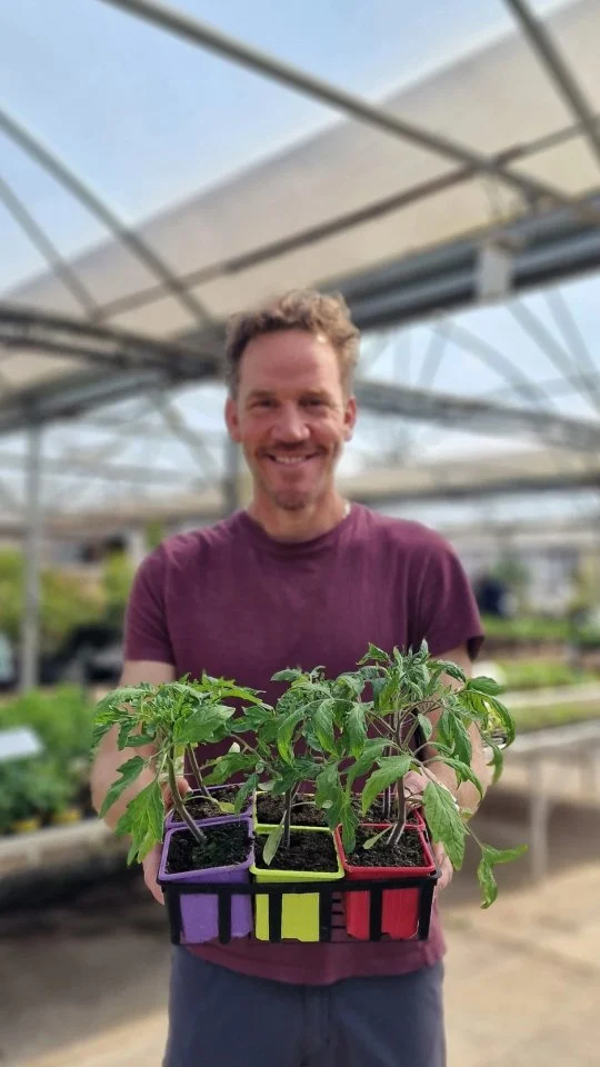 Le soleil et la chaleur sont de retour… et ça donne envie de planter partout ! 🌱☀️

Mais attention il est encore un peu tôt pour mettre les légumes en pleine terre. Les températures peuvent encore nous jouer des tours… 👀 

👉 Vous pouvez commencer vos plantations, mais sous abri (serre, tunnel, véranda…), pour leur donner toutes les chances de bien démarrer.

Patience, la pleine terre arrive bientôt ✌️

#ferrierefleurs #jardinerie #plantation #potager #tomate