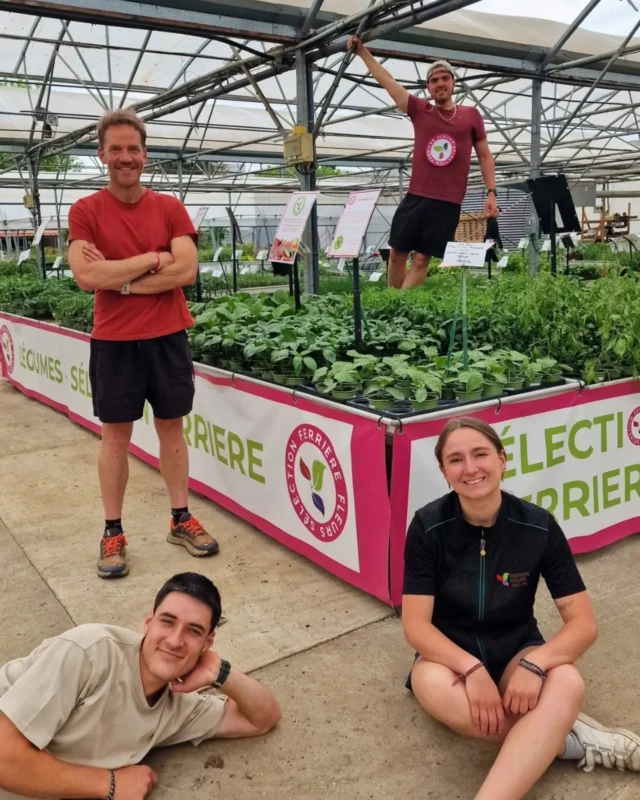 La Sélection Ferriere, en détails ! 🍅🥒

Comme promis, on vous présente aujourd'hui les 9 variétés que nous avons sélectionnés et produits pour vous accompagner cette saison.

👉 Des variétés choisies pour leur goût et leur performance au potager 
👉 Aubergine 🍆 courgette et concombre 🥒 melon 🍈 poivron 🌶 tomate 🍅 
👉 Produites dans nos serres de production à Sain Bel

Que vous débutiez ou non, cette sélection vous aide à faire les bons choix... et à profitez de belles récoltes 🤗

📍 Disponible en magasin : 27 route de Sain Bel à L'Arbresle 

Alors, vous choisissez quoi cette année ?

#legume #ferrierefleurs #production