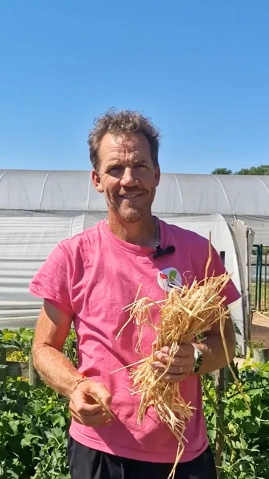 On a trouvé le meilleur allié du jardin pendant cette canicule, et ce n'est pas l'arrosoir 💧

Découvre le résultat de notre test après 48h 👀

Maintenant c'est à ton tour de nous dire quel est ton indispensable canicule 🌞

#ferrierefleurs #eau #paillage #canicule #jardinerie