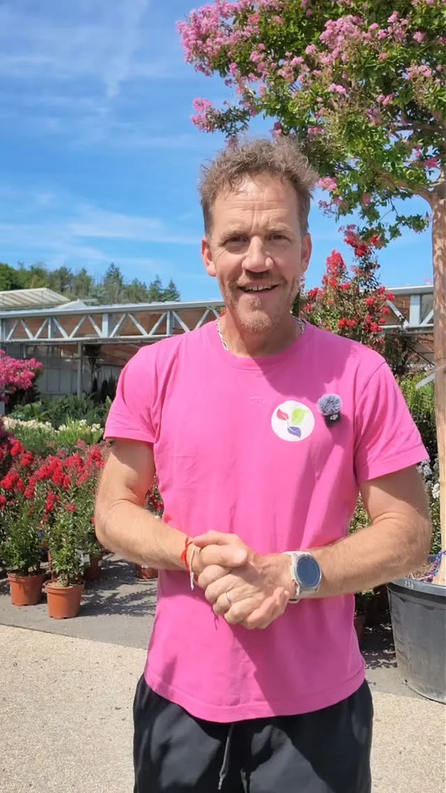 Notre top 5 des plantes les plus résistantes pour l'été 🌞🌼

#ferrierefleurs #jardinerie #fleurs #soleil #classement